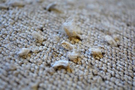 prorating carpet damages